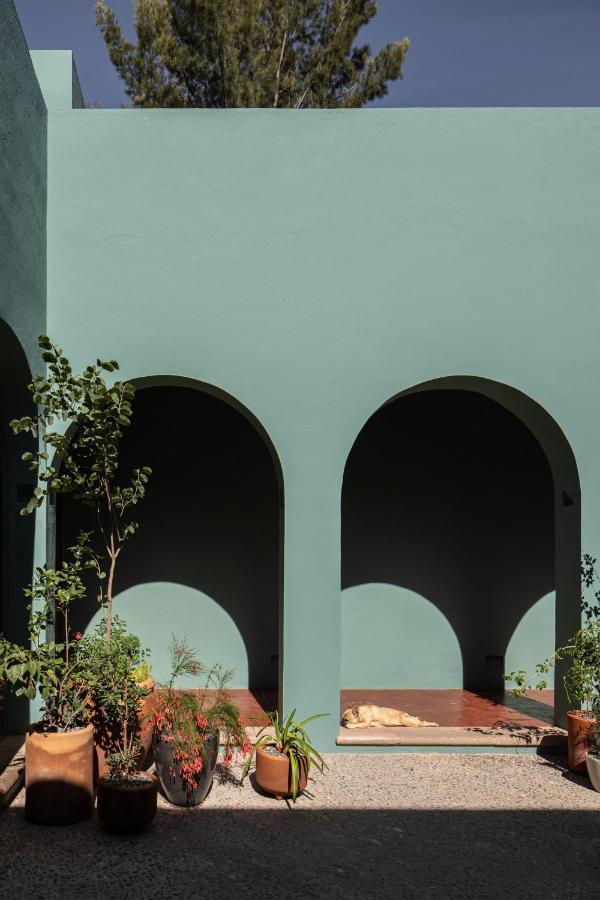 Holt Balcones Guesthouse - King Bed Room San Miguel de Allende Extérieur photo